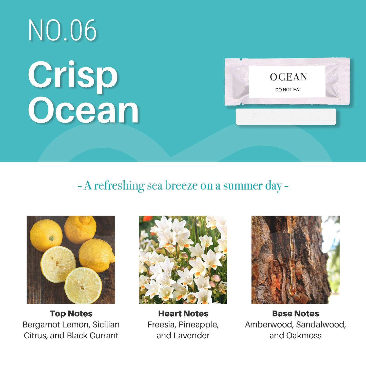 Wooden Car Air Outlet Perfume Clip NO.06 Ocean