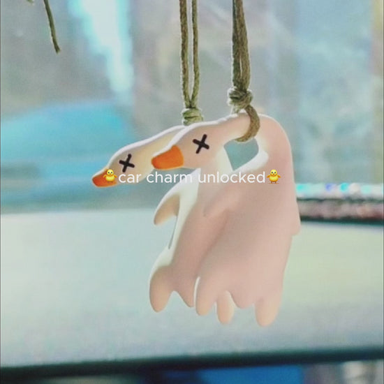 Swing Duck Hanging Ornament Video