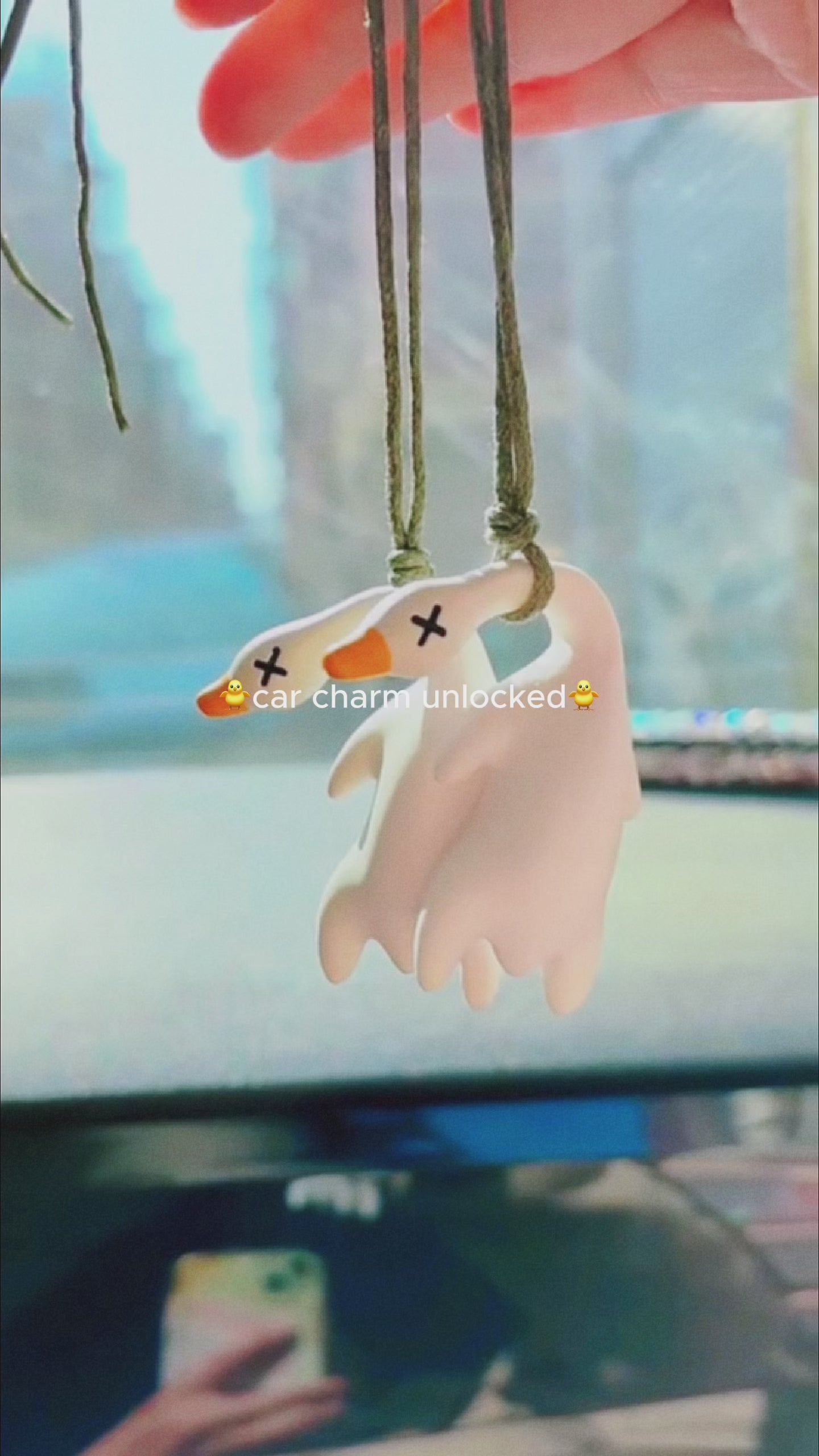 Swing Duck Hanging Ornament Video